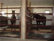 barn.jpg